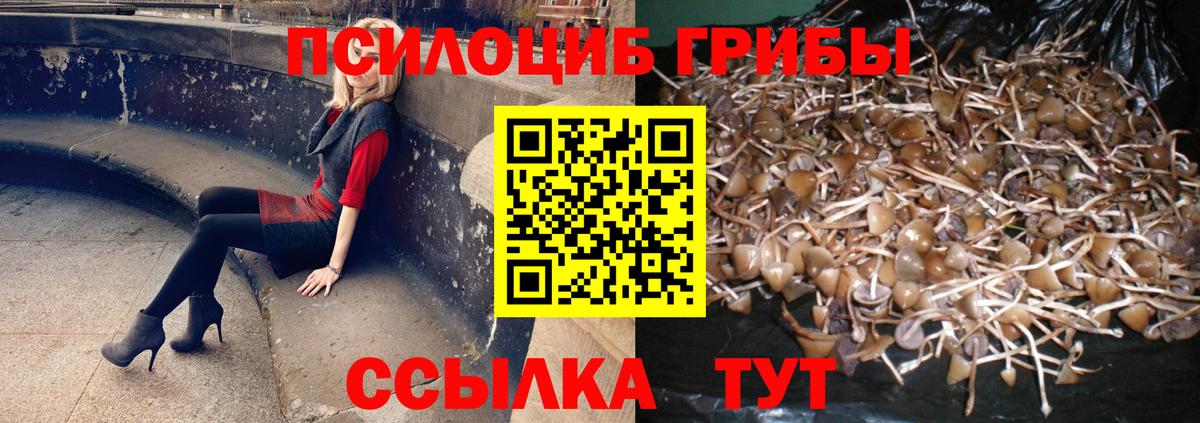 Галлюциногенные грибы ЛСД  Вход с VPN  Галлюциногенные грибы Cubensis  Урай 